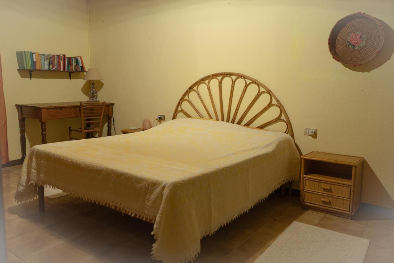 Bed and Breakfast Sa Domu De Ladiri - Matrimoniale Con Giardino Musei Exteriér fotografie