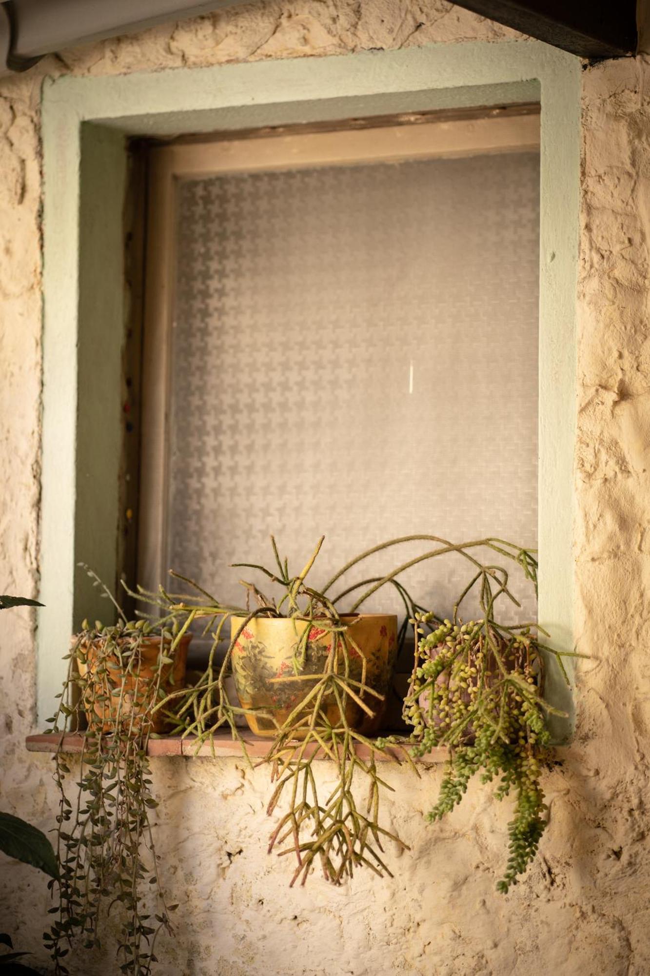 Bed and Breakfast Sa Domu De Ladiri - Matrimoniale Con Giardino Musei Exteriér fotografie